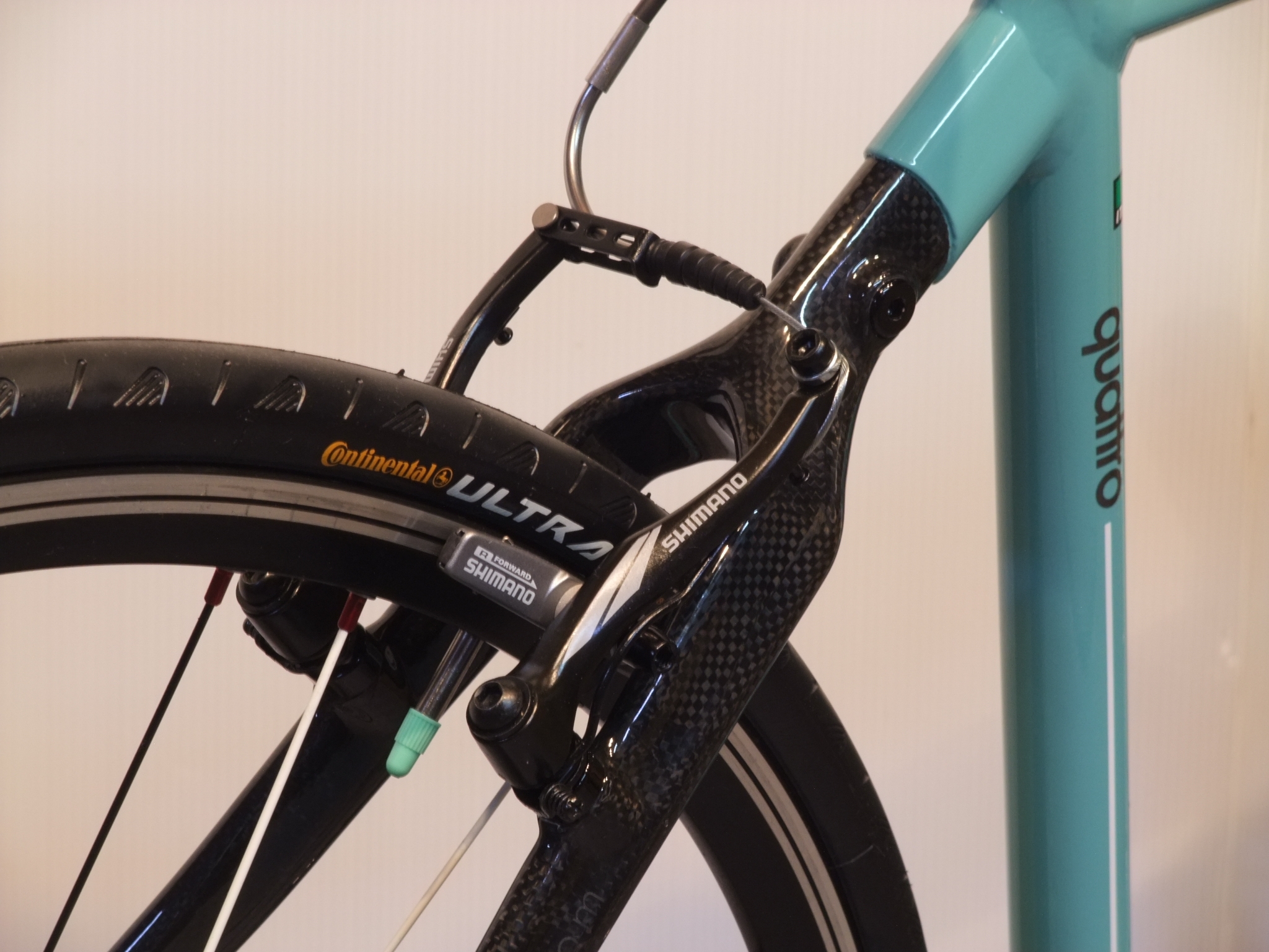 Bianchi camaleonte 4