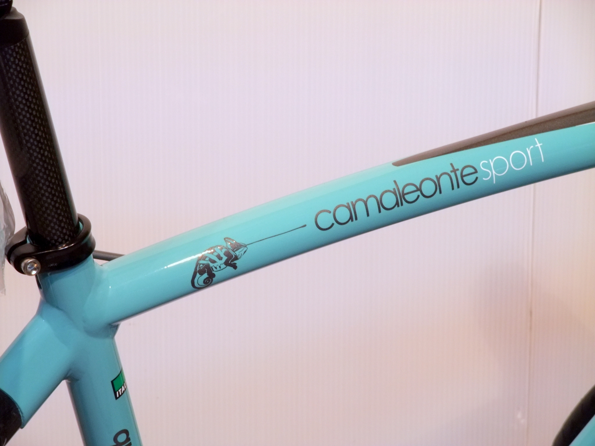 Bianchi camaleonte 4